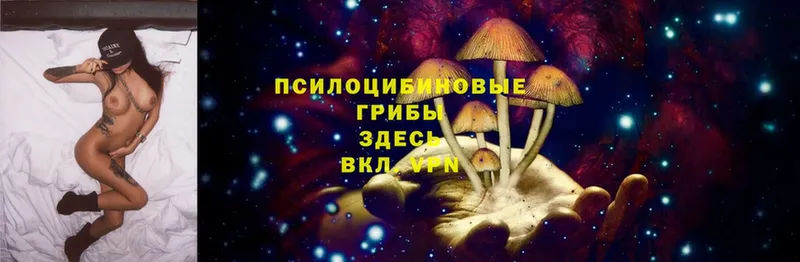 Галлюциногенные грибы MAGIC MUSHROOMS  Мамоново 